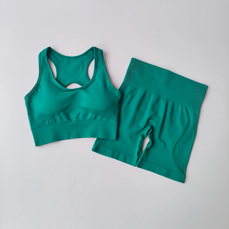 2 PCS Women's Seamless Yoga Set High-Waist Sports Shorts Sleeveless Workout Suit Fitness Gym Wear Sexy Breathable Quick Dry