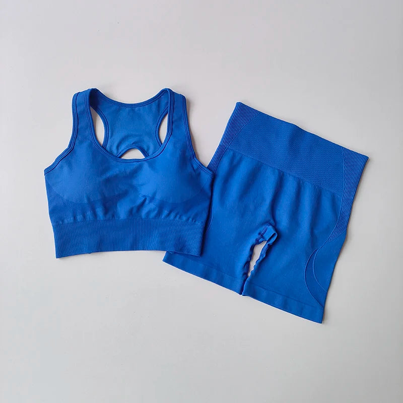 2 PCS Women's Seamless Yoga Set High-Waist Sports Shorts Sleeveless Workout Suit Fitness Gym Wear Sexy Breathable Quick Dry