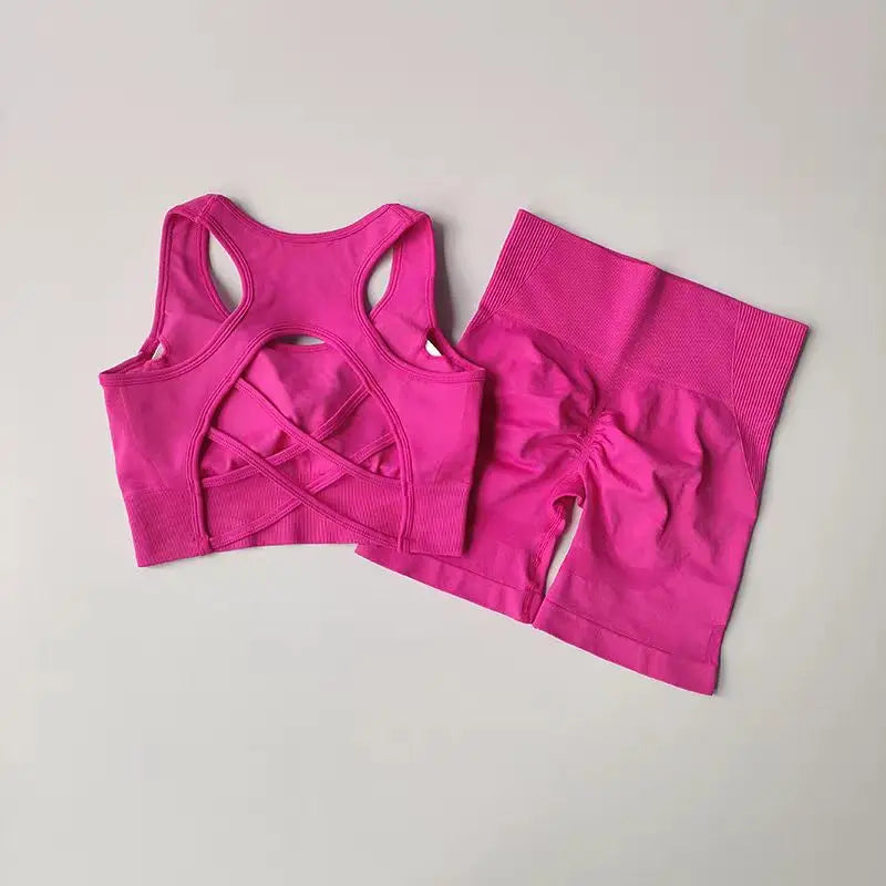 2 PCS Women's Seamless Yoga Set High-Waist Sports Shorts Sleeveless Workout Suit Fitness Gym Wear Sexy Breathable Quick Dry